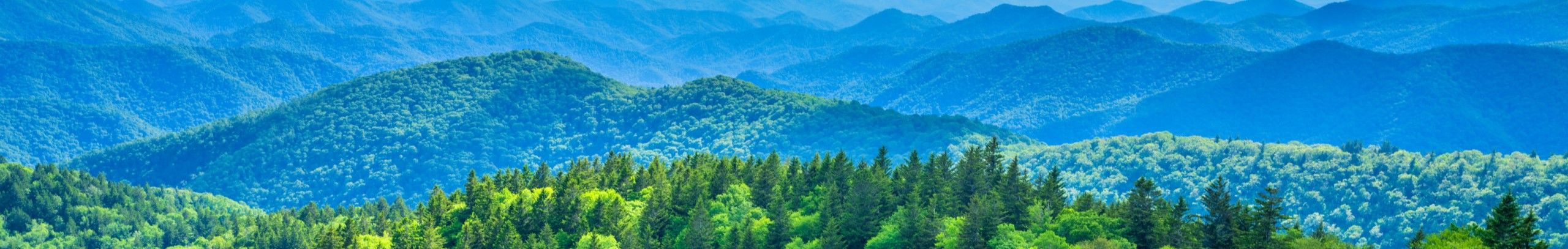 TANASI LODGE - Weddings-Retreats-Family Getaways- Gatlinburg